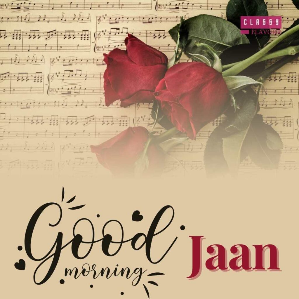 A memorable good morning jaan image of a red rose on the book min