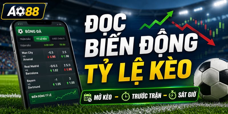 Mẹo đọc tỷ lệ kèo qua biến động trước trận